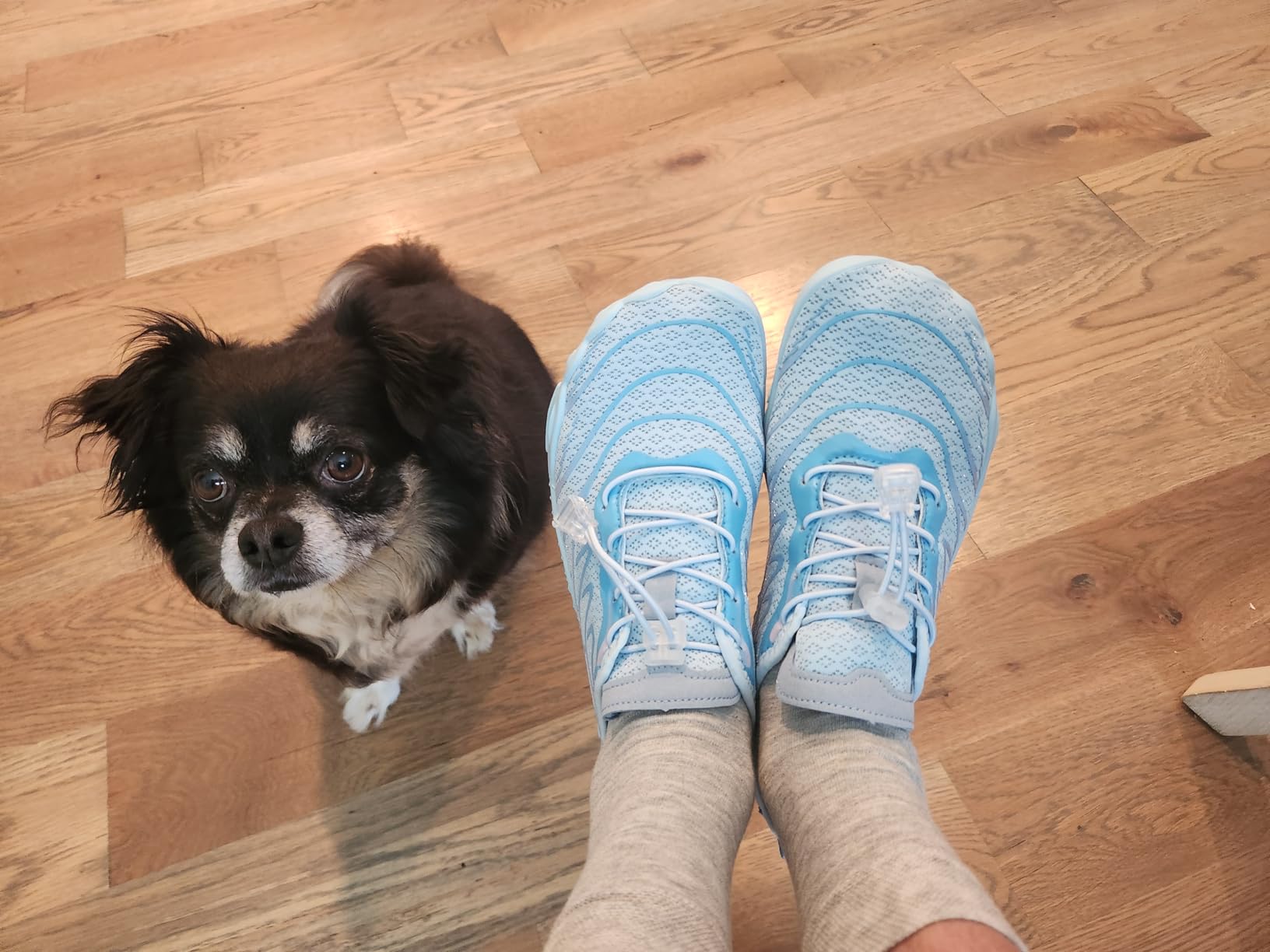 AddBili grounding shoes black colorway with copper rivets on grass surface