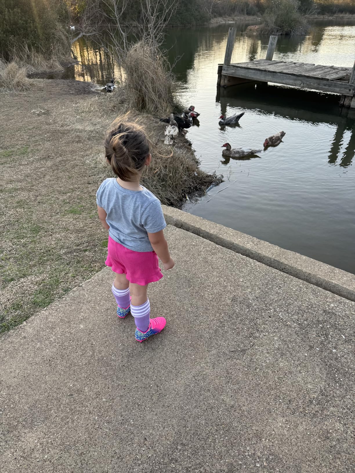 Close-up of brooman soccer cleats hook and loop velcro closure system and padded tongue