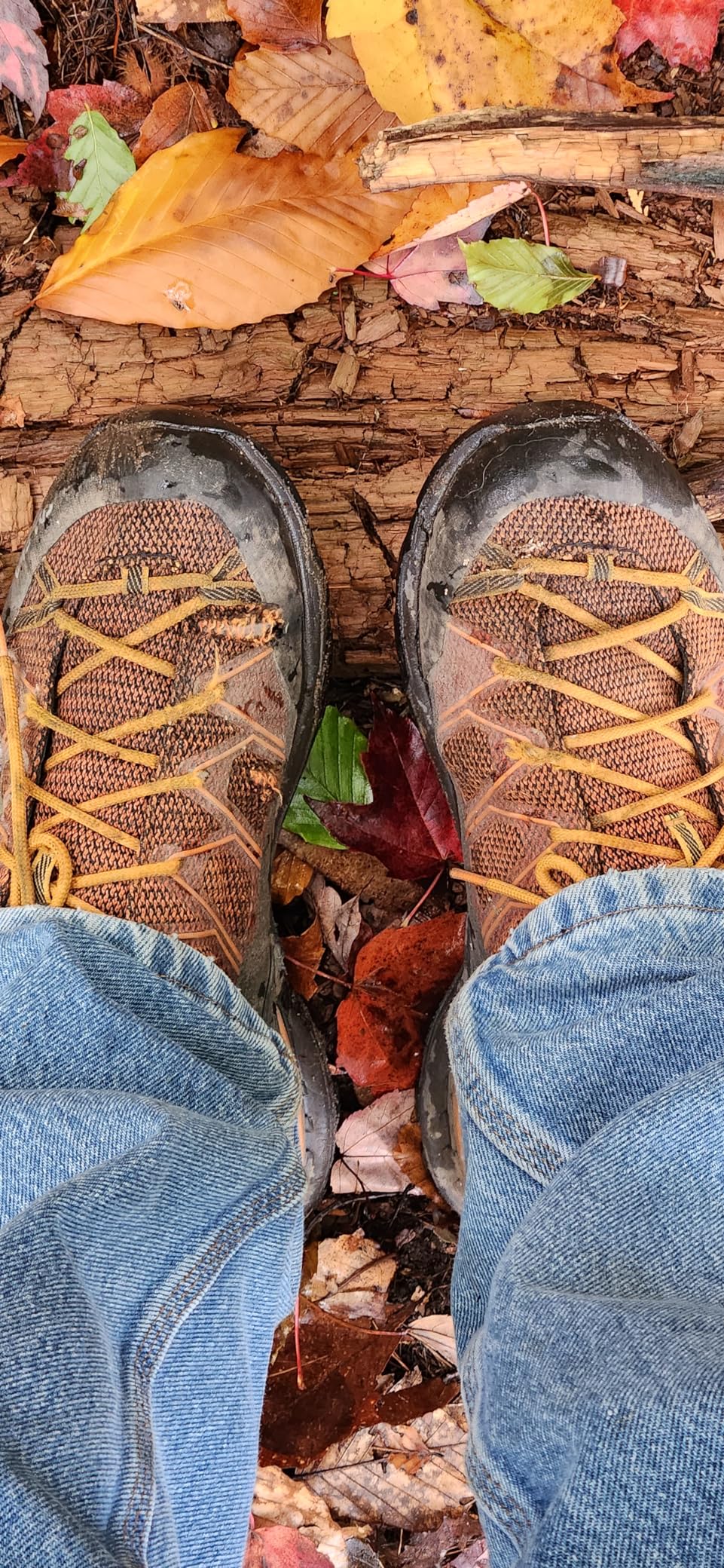 Salewa Mountain Trainer Lite upper construction showing armored mesh and TPU reinforcements