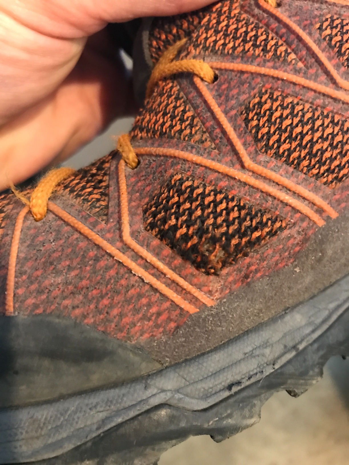 Salewa Mountain Trainer Lite after extensive trail testing showing wear patterns and durability