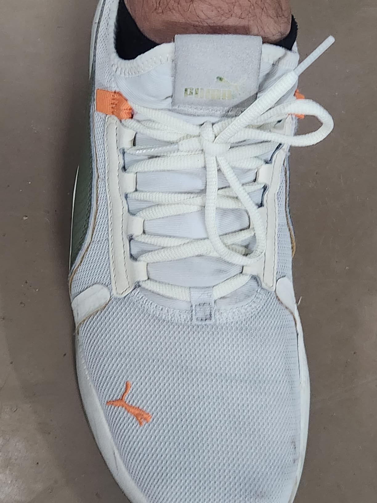 Handshop oval athletic shoelaces showing various colors and oval shape design