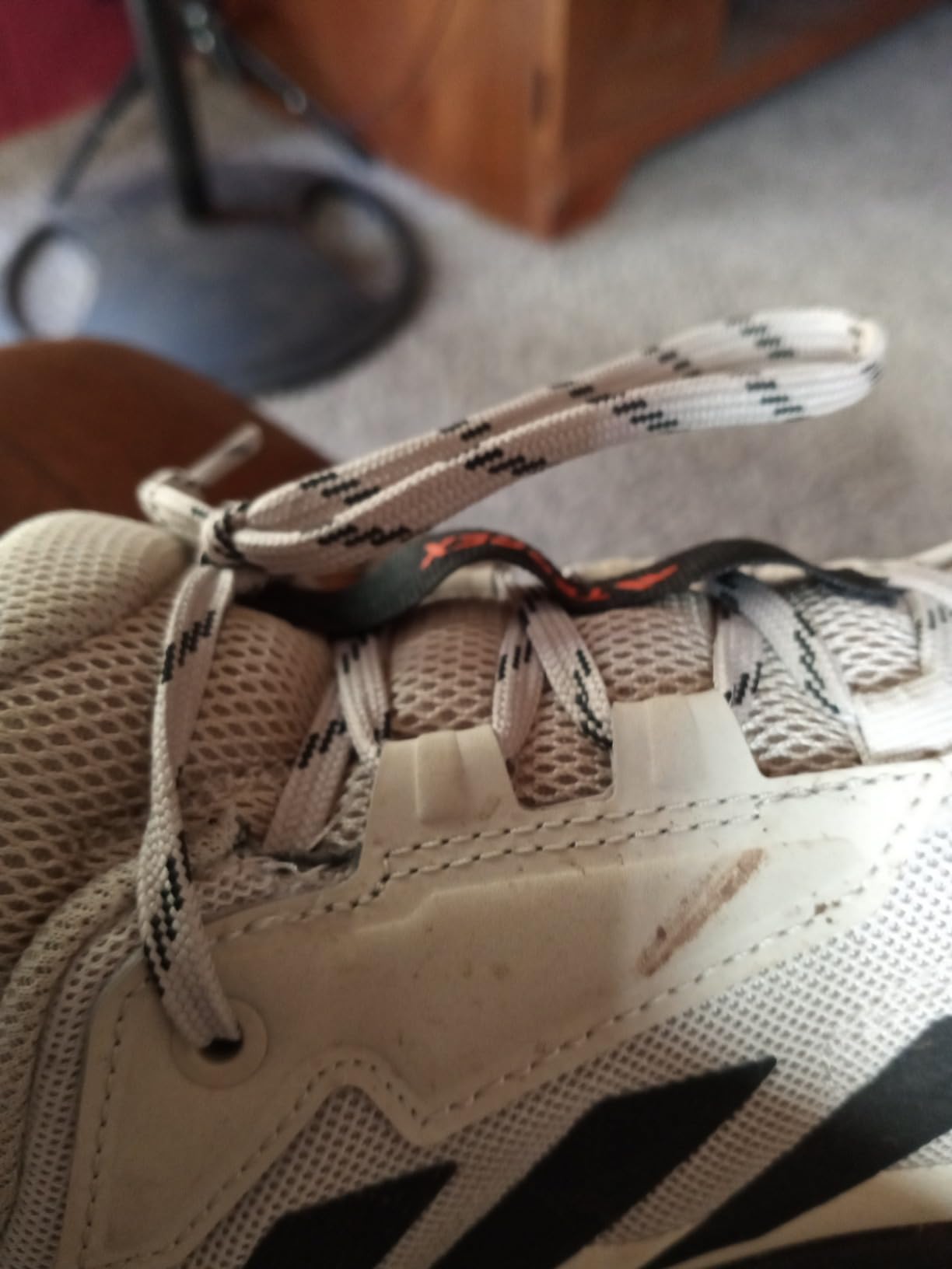 Adidas Terrex Anylander after 150+ miles of trail testing showing wear patterns and durability