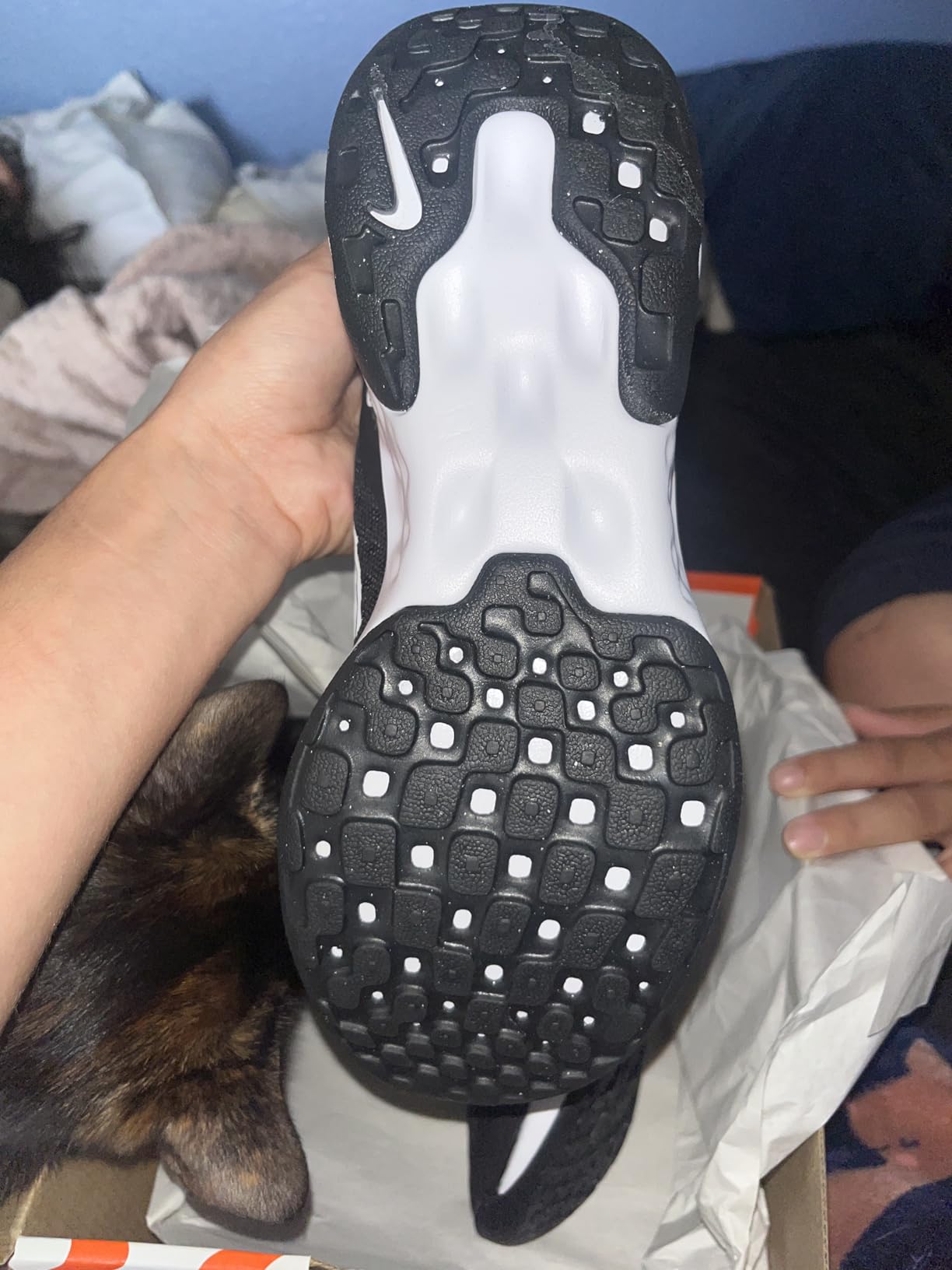 Nike Women's Renew Ride 3 Running Shoes black white grey colorway with lightweight mesh upper and synthetic overlays