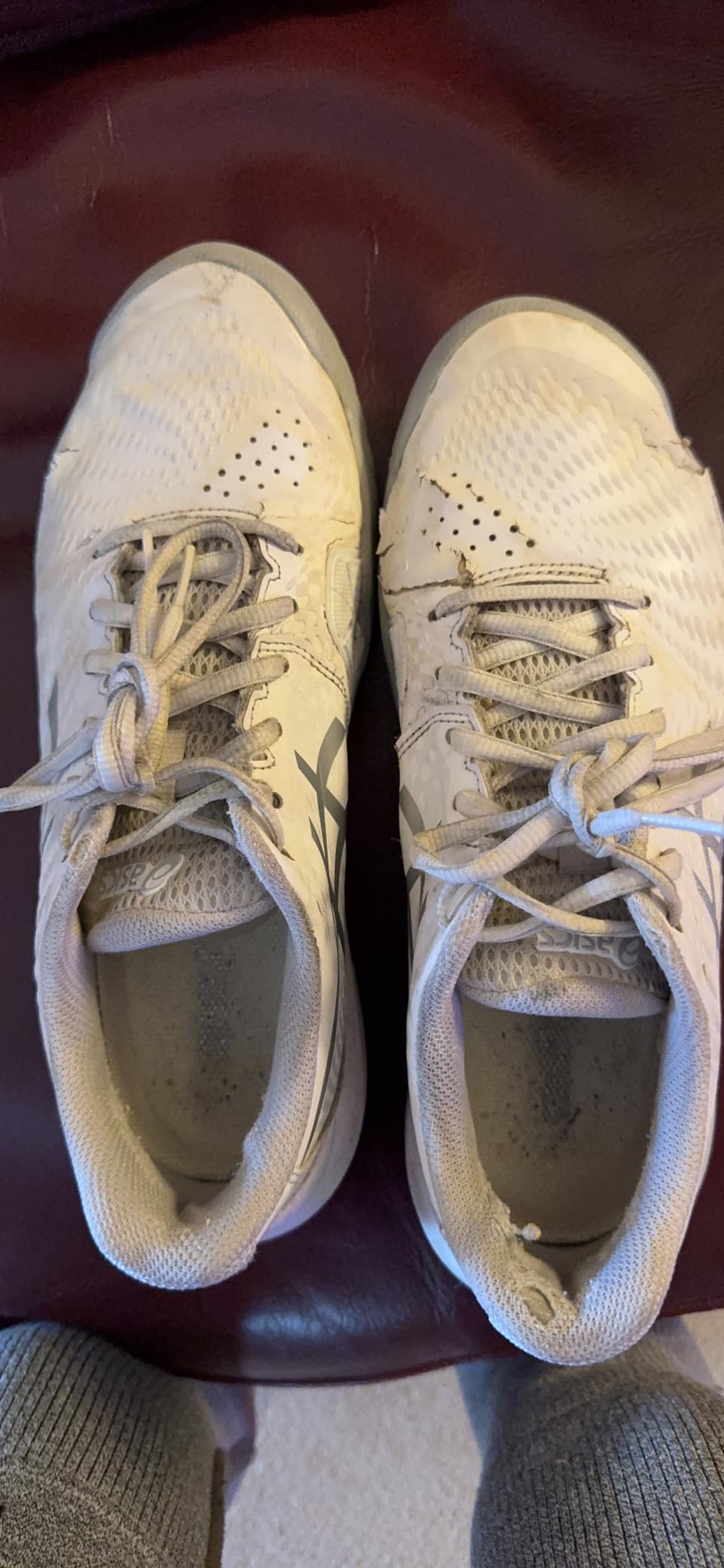 ASICS Gel-Challenger 14 full view showing complete shoe design and construction