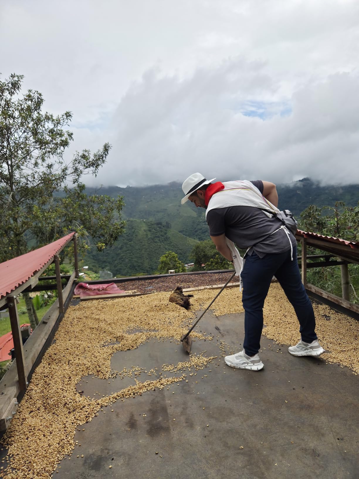 Reebok Floatzig 1 top view displaying gusseted tongue and flat lacing system