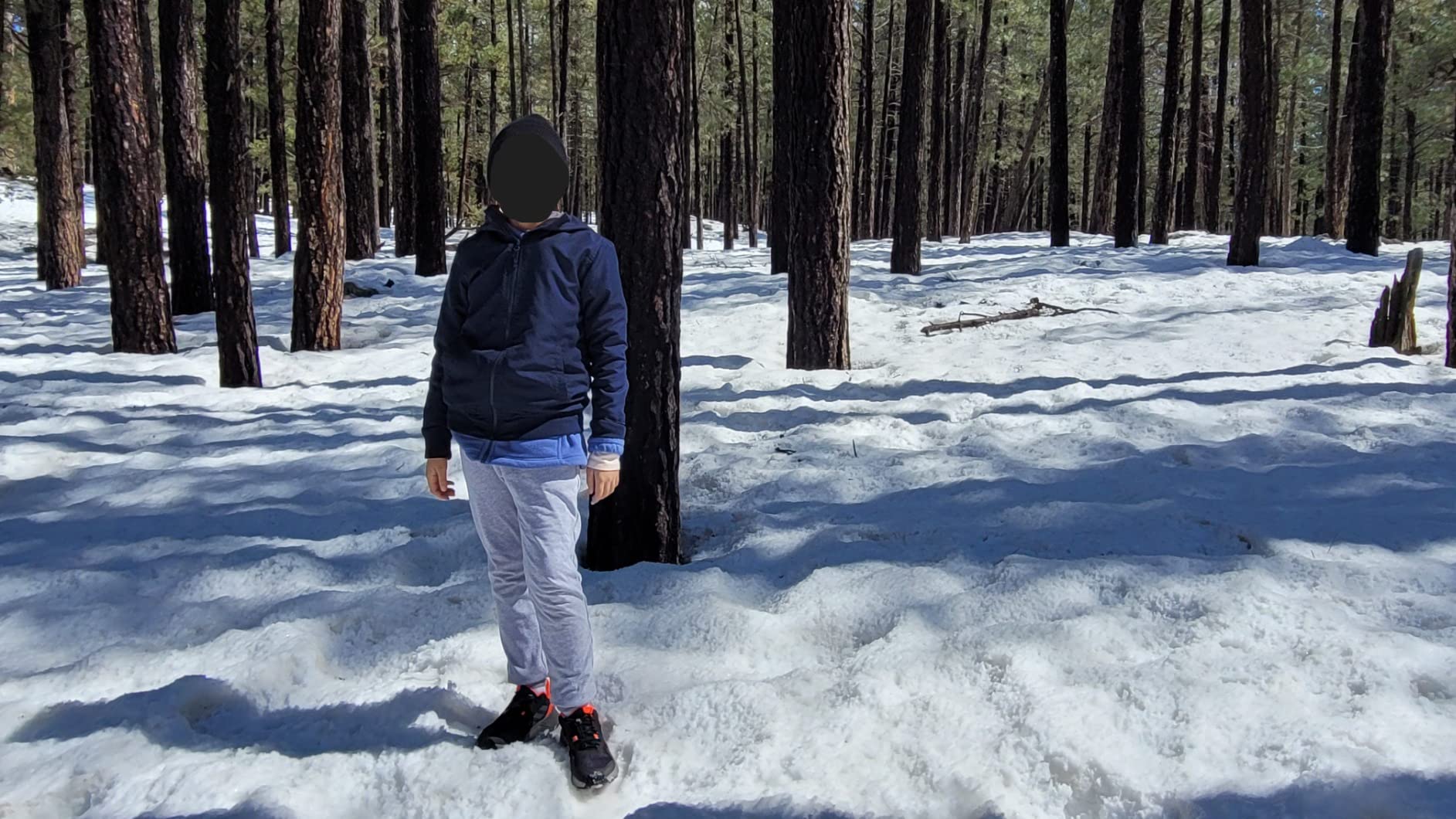 Adidas Terrex Soulstride in action on rocky trail terrain showing traction performance