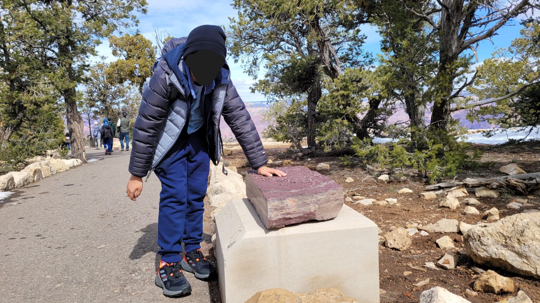 Adidas Terrex Soulstride on various trail surfaces showing versatility across different terrains