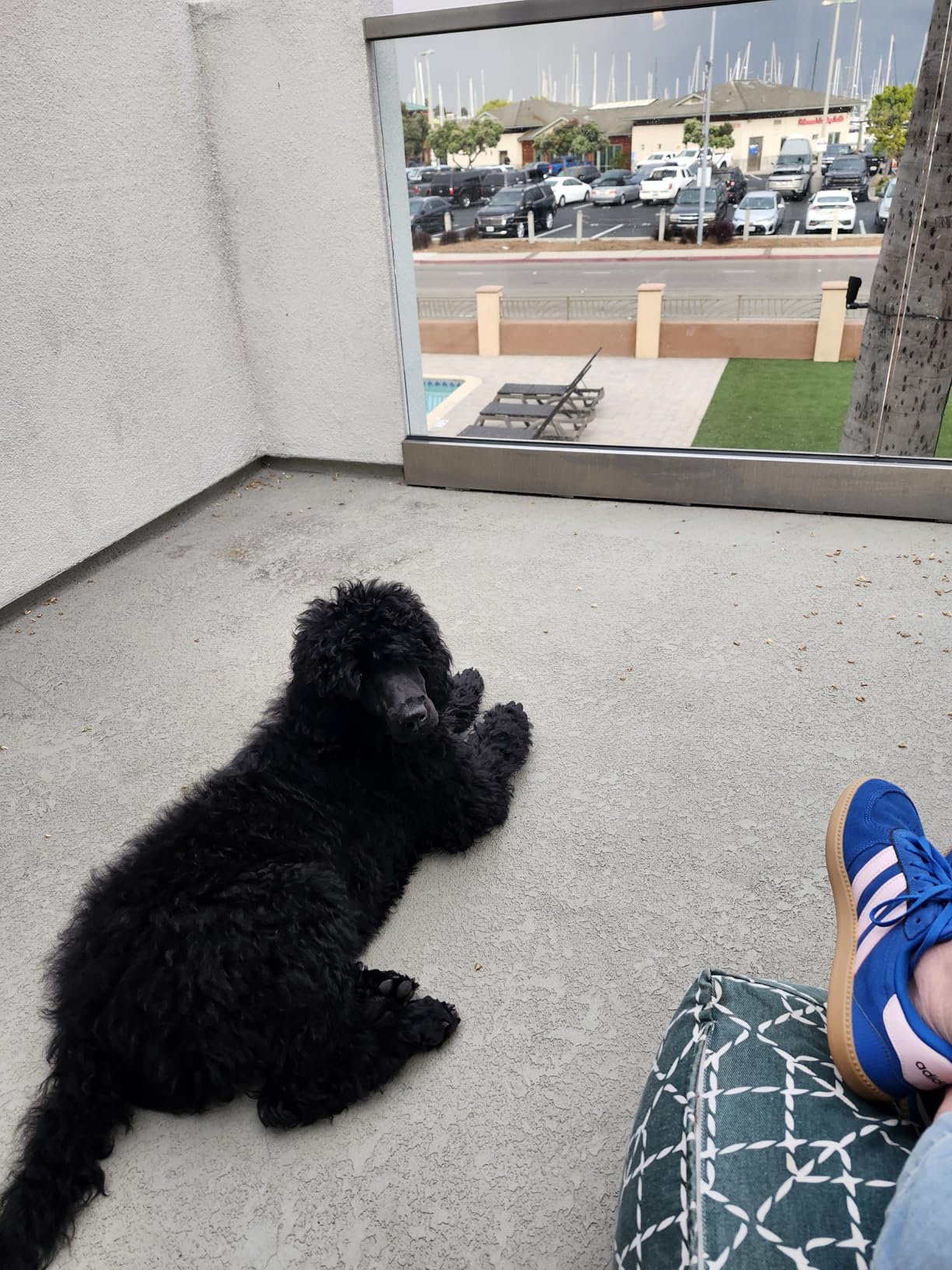 Adidas Breaknet Sleek worn during daily activities