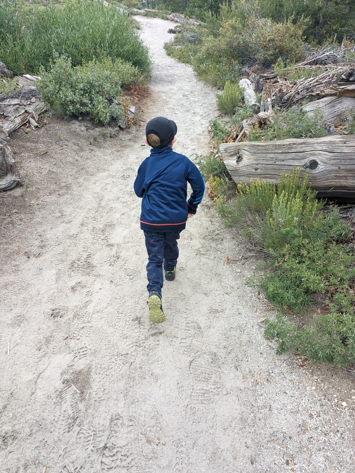 Merrell Kids Moab Speed Low A/C Waterproof in navy colorway - hero shot before testing