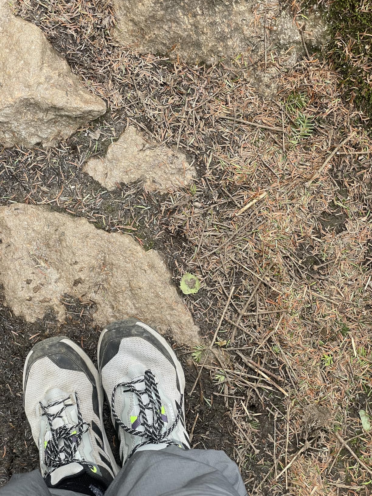 Action shot of Adidas Terrex AX4 on rocky trail terrain showing Continental rubber outsole grip pattern and moderate lug depth