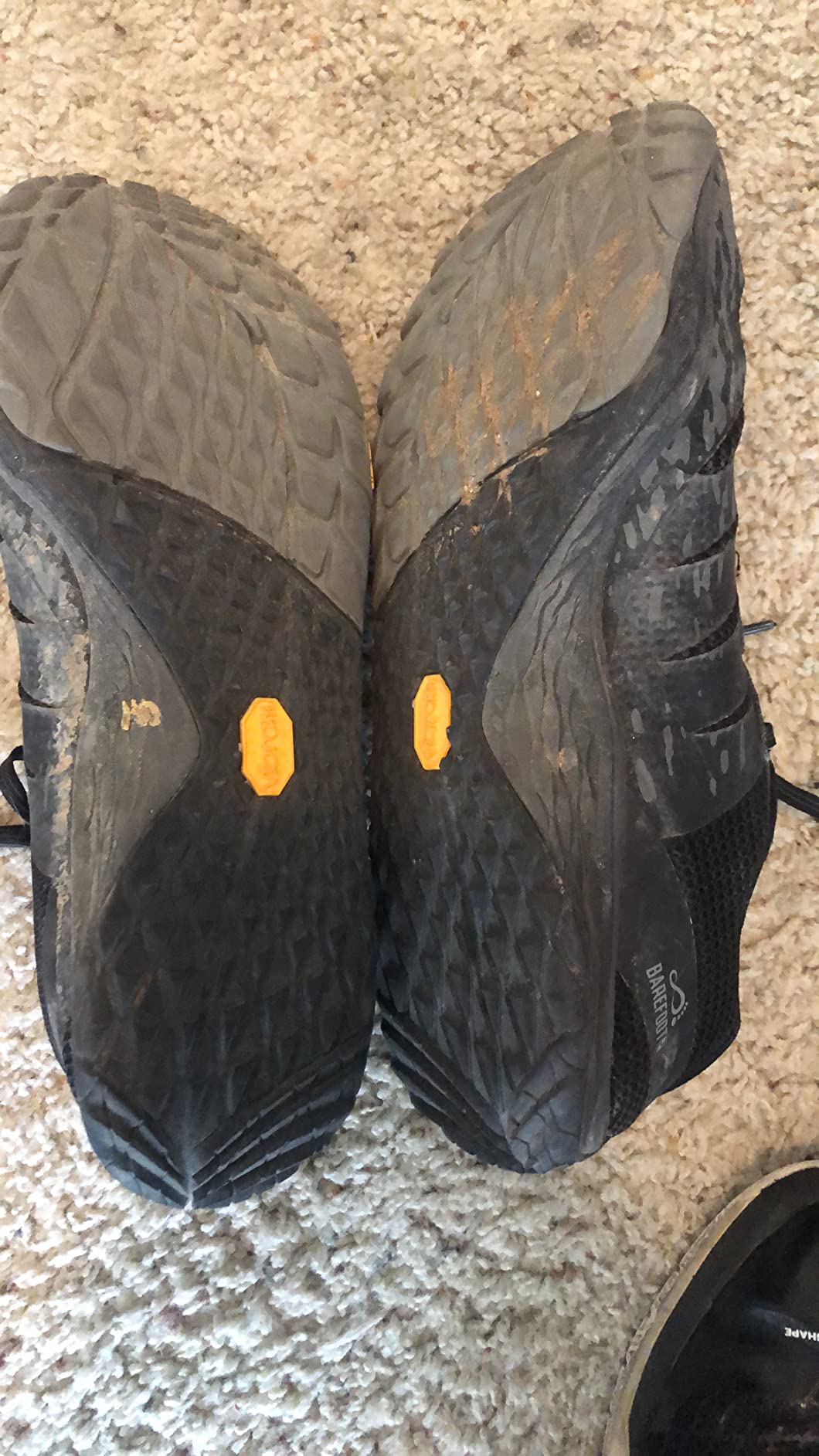 Merrell Trail Glove 5 Vibram outsole close-up showing TrailProtect rock plate and lug pattern