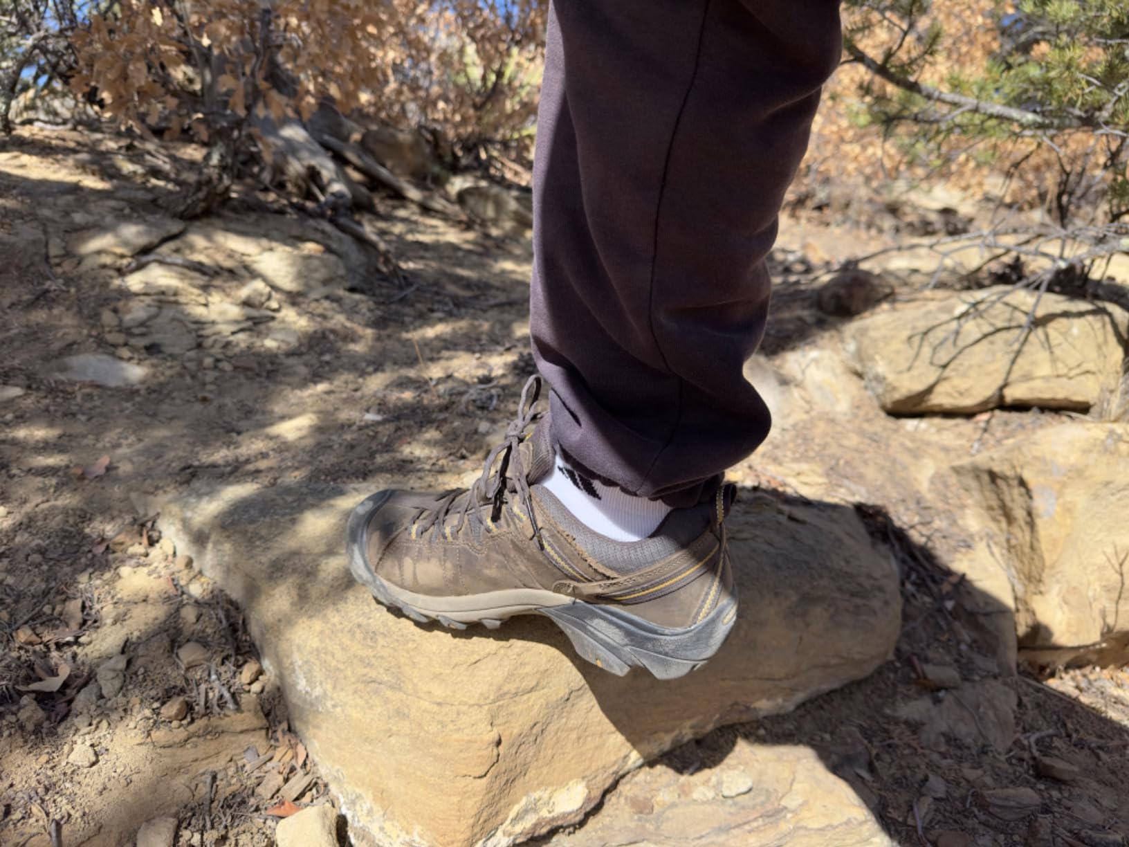 KEEN Men's Targhee II in outdoor Colorado setting — real-world day hiking application