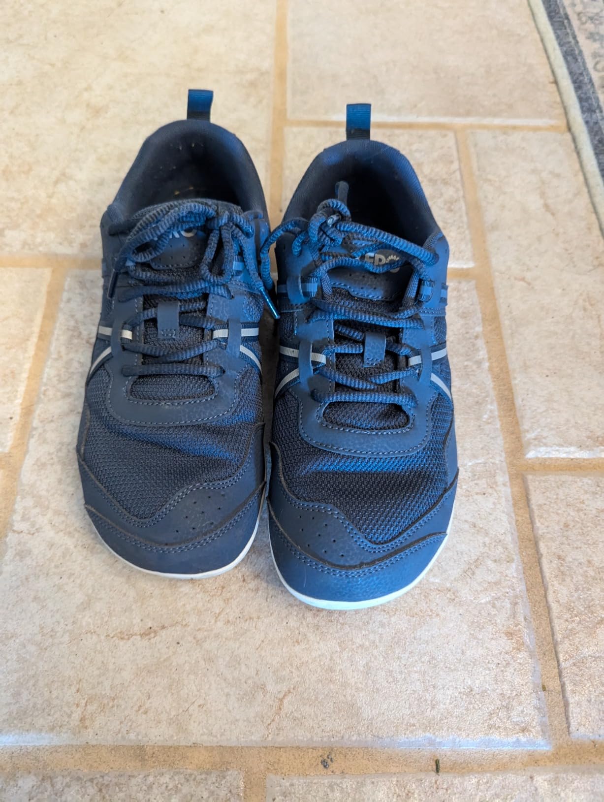 Xero Prio showing wear patterns and sole condition after 8 weeks of regular gym and daily use testing