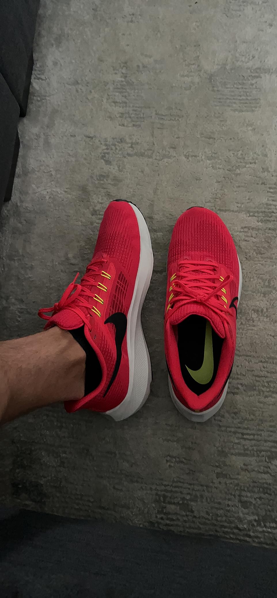 Nike Pegasus 39 worn during outdoor running session on paved path in summer conditions