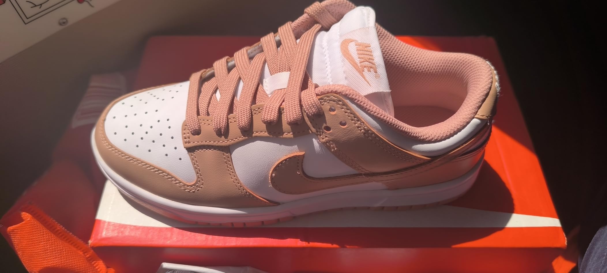 Nike Dunk Low colorway variety including classic and modern color combinations