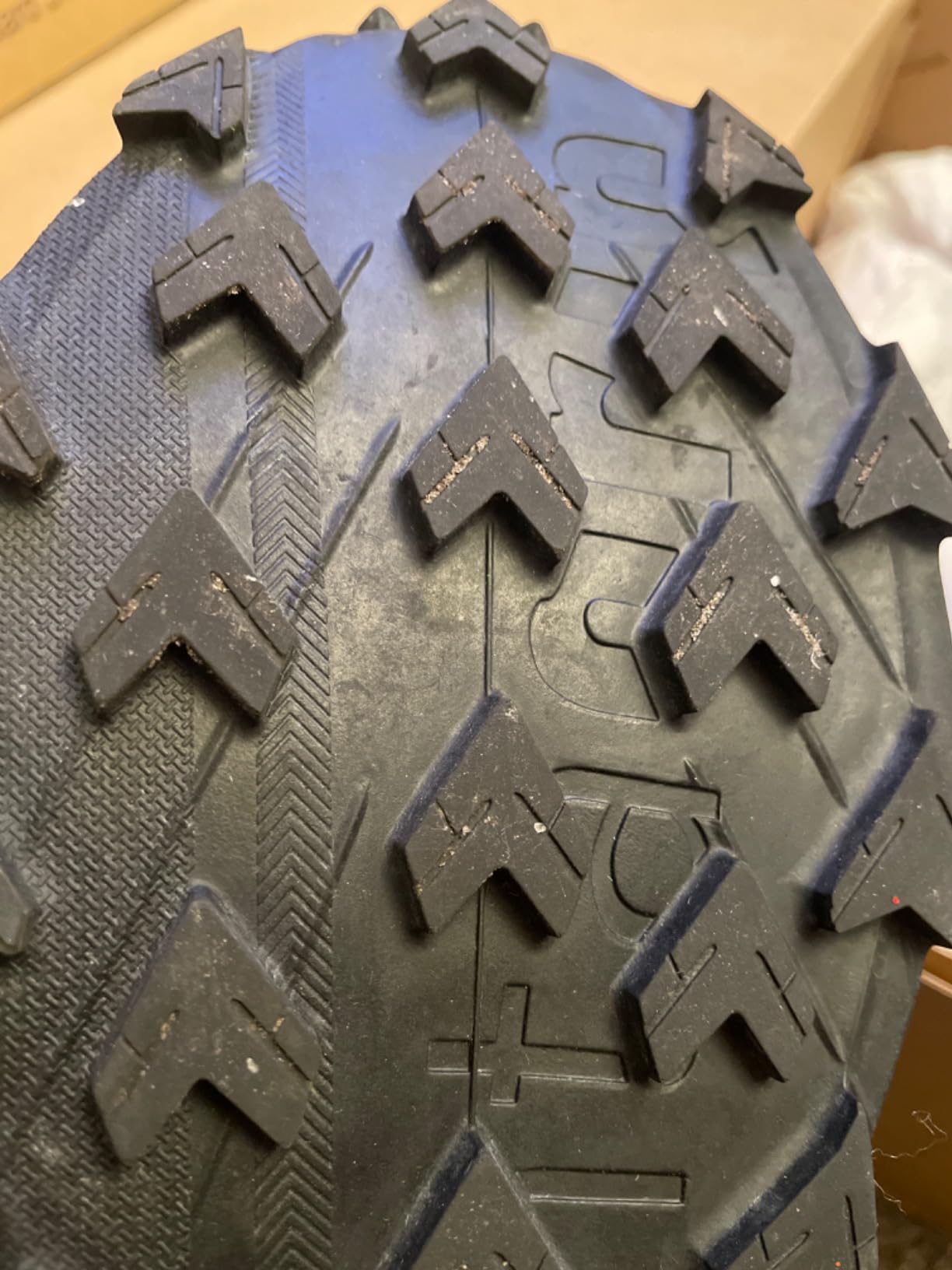 Salomon Alphacross 5 Gore-Tex showing wear patterns and outsole condition after extended trail testing