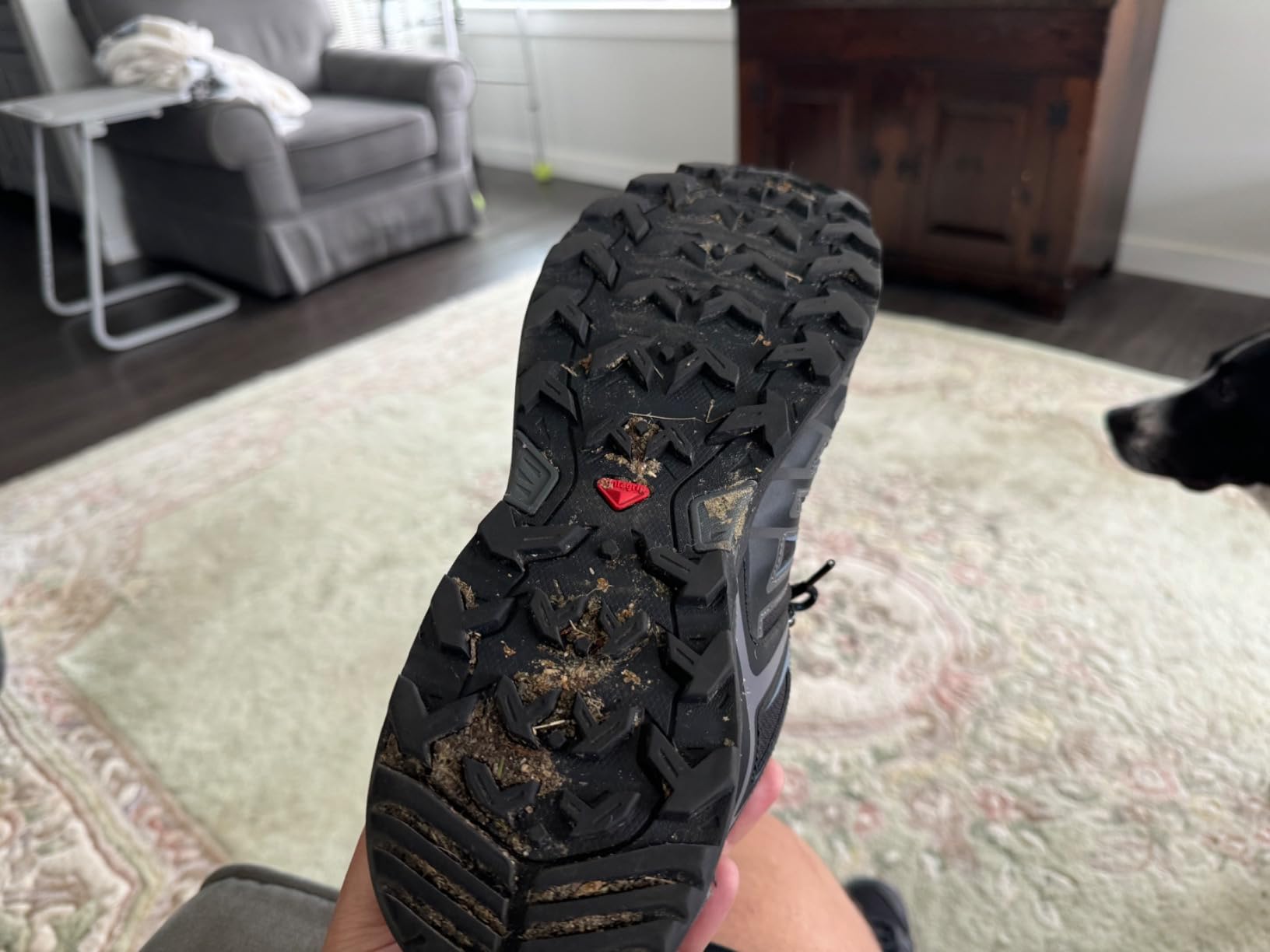 Salomon X Ultra Pioneer in action on rocky Pennsylvania trail during real hiking conditions