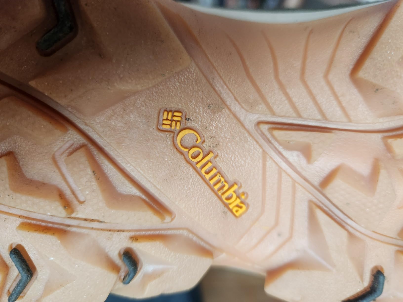 Columbia Crestwood hiking shoe on trail showing outdoor performance on natural terrain