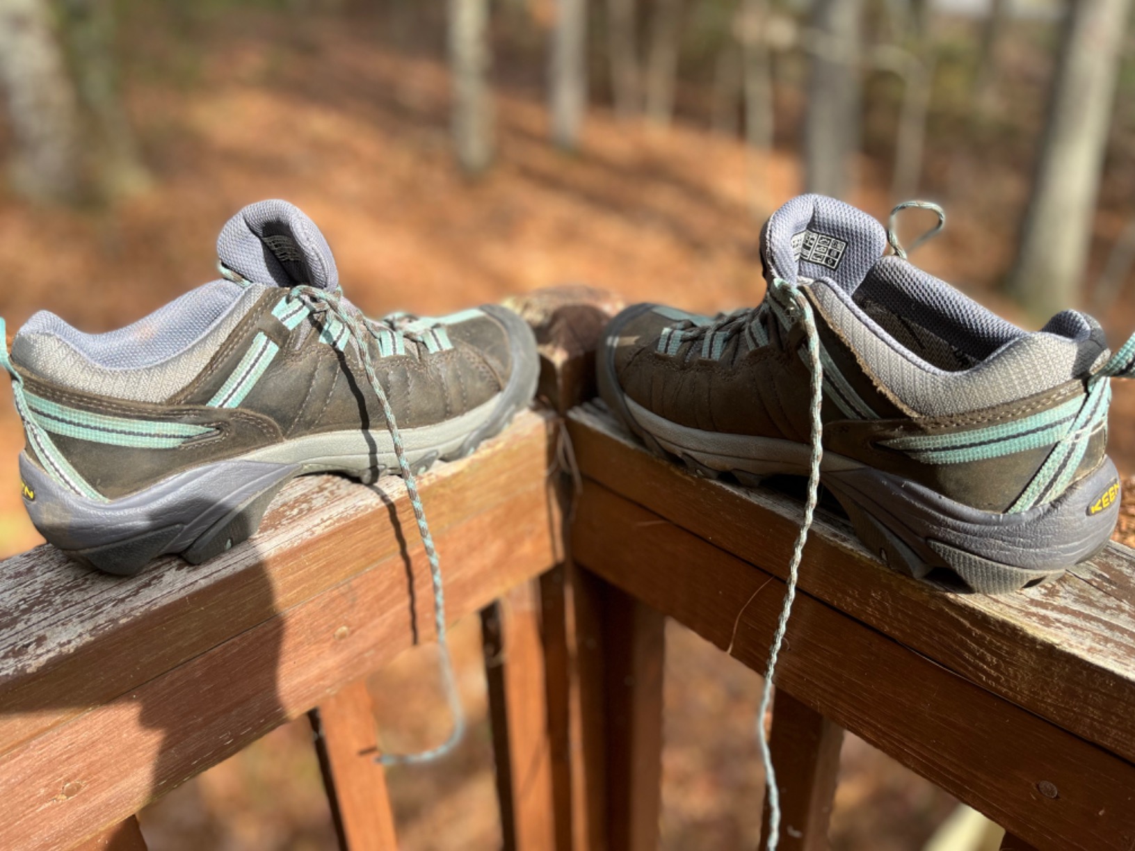 KEEN Targhee II waterproof hiking shoe in real outdoor conditions on Pacific Northwest trail