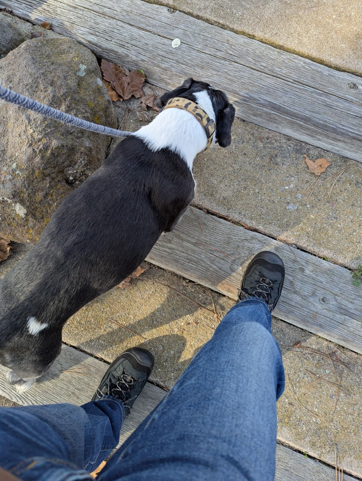 KEEN Targhee IV being tested in wet trail conditions and creek crossing
