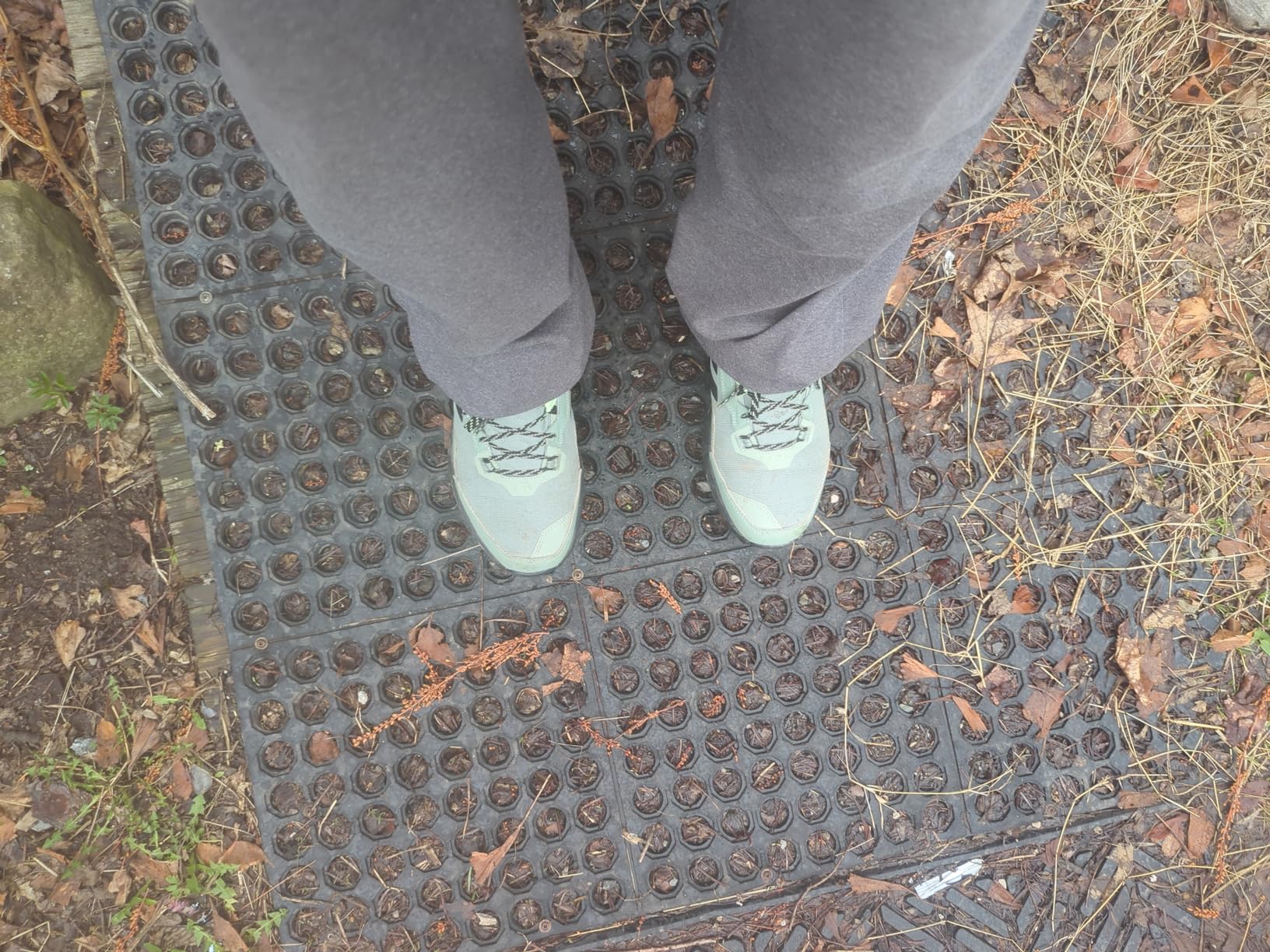 Adidas Terrex AX4 hiking shoe in outdoor trail conditions showing real-world usage