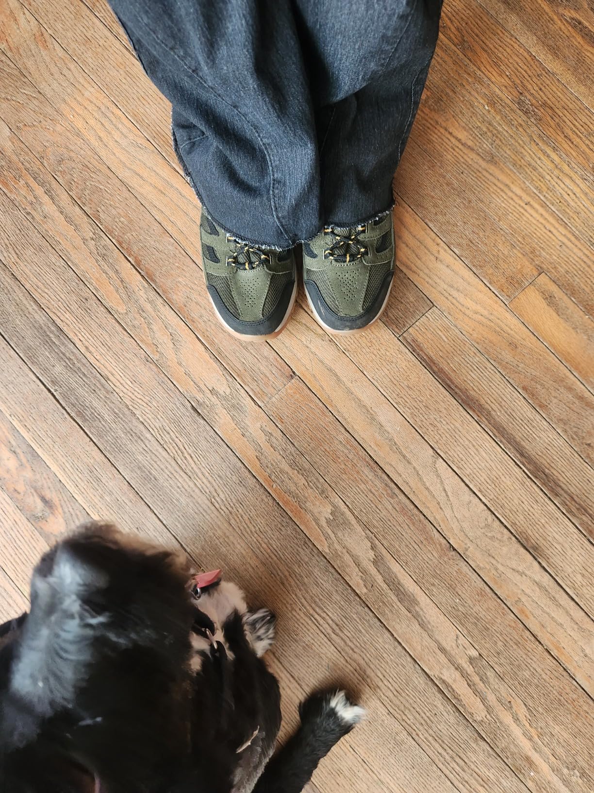 Columbia Men's Crestwood hiking shoes tested across varied wet and dry trail surfaces and conditions