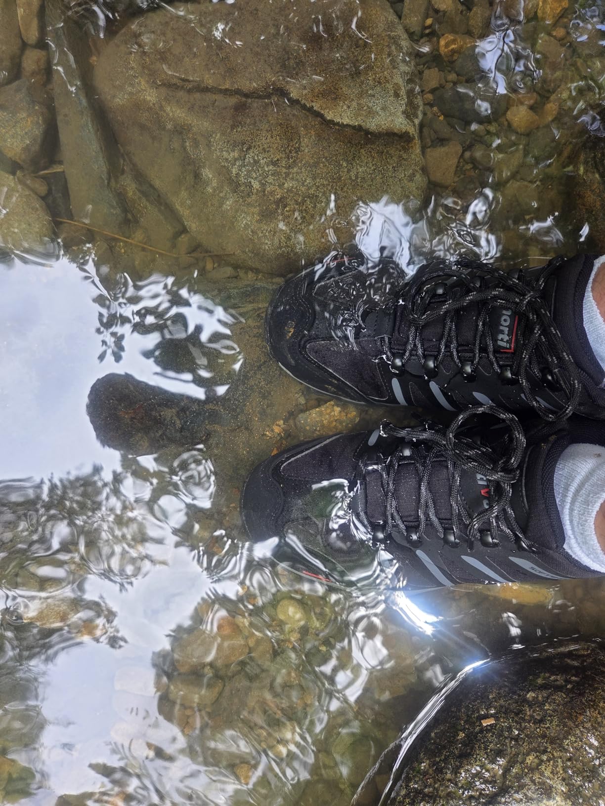 NORTIV 8 hiking shoes value comparison against premium hiking shoe alternatives