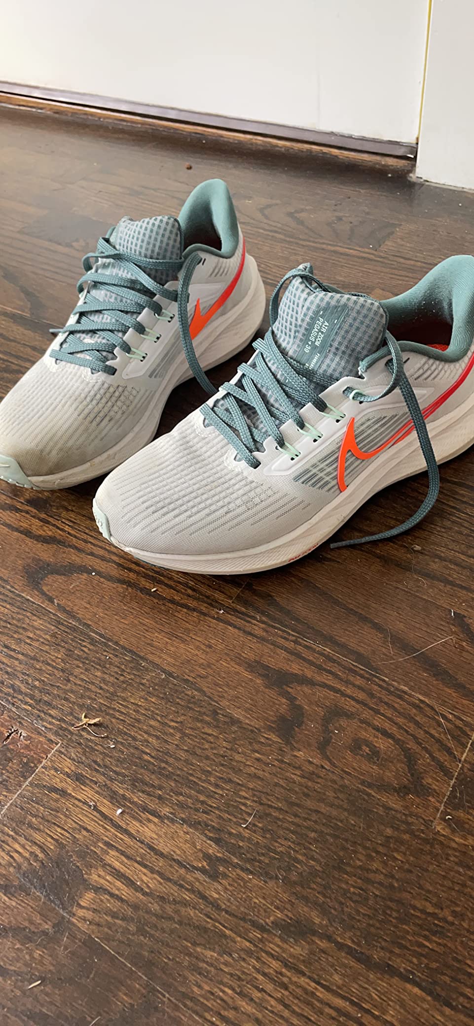 Nike Air Zoom Pegasus 39 Premium final product shot showing overall design quality and construction
