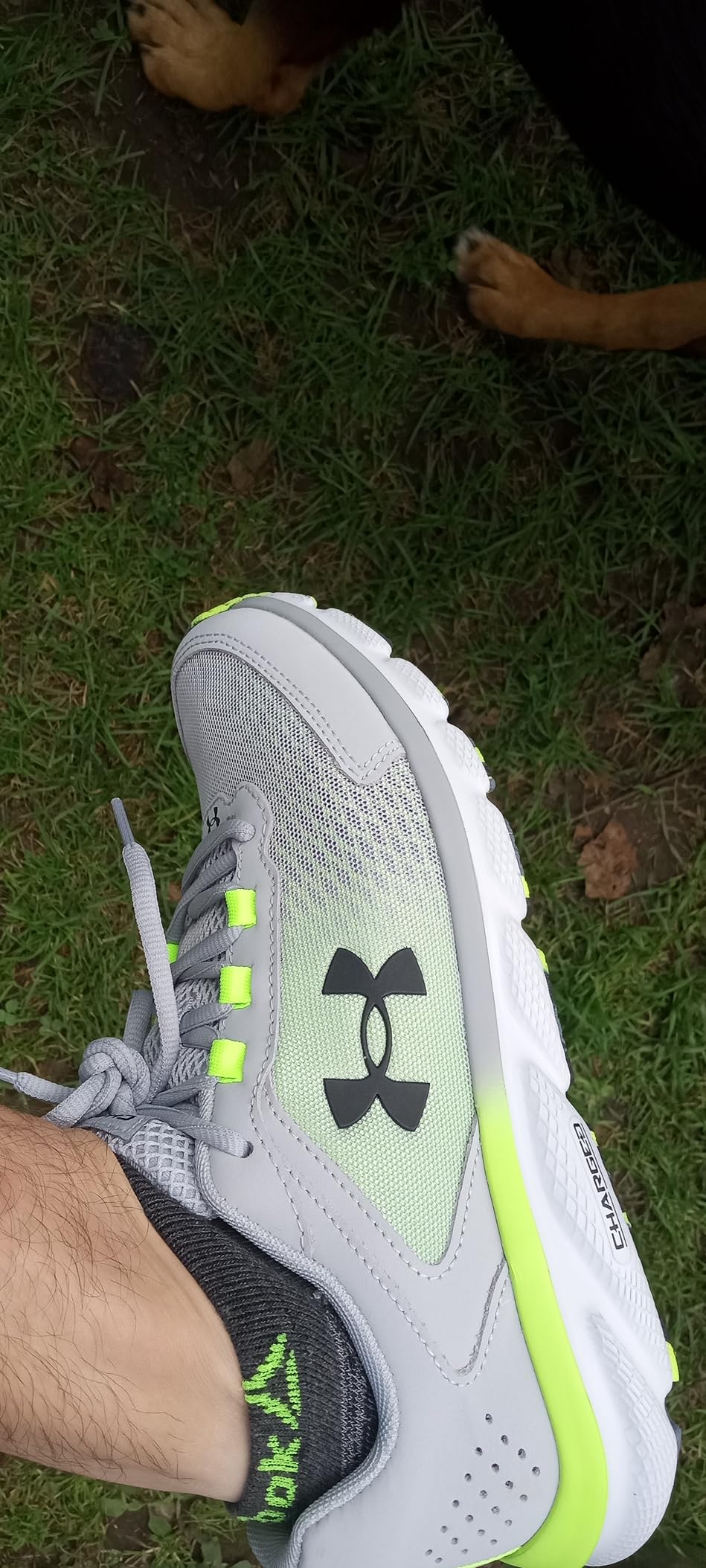 Under Armour Charged Assert 9 during gym training session showing durability and performance across multiple workout surfaces
