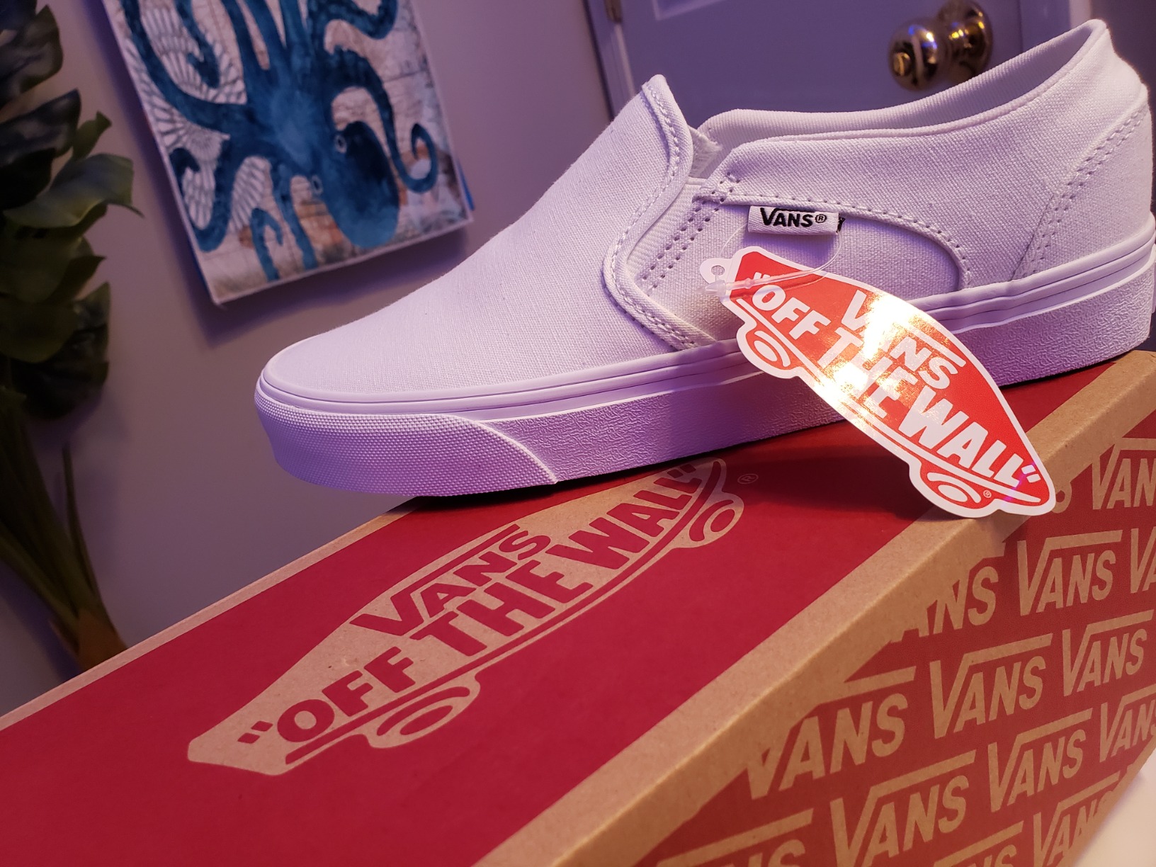 Vans Asher slip-on shoes worn outdoors showing real-world casual styling in action