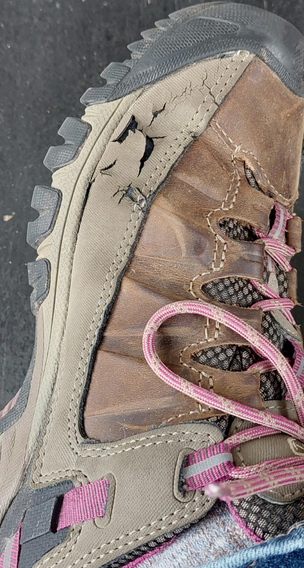 Multiple KEEN Women's Targhee III shoes showing common sole cracking issue reported across user community