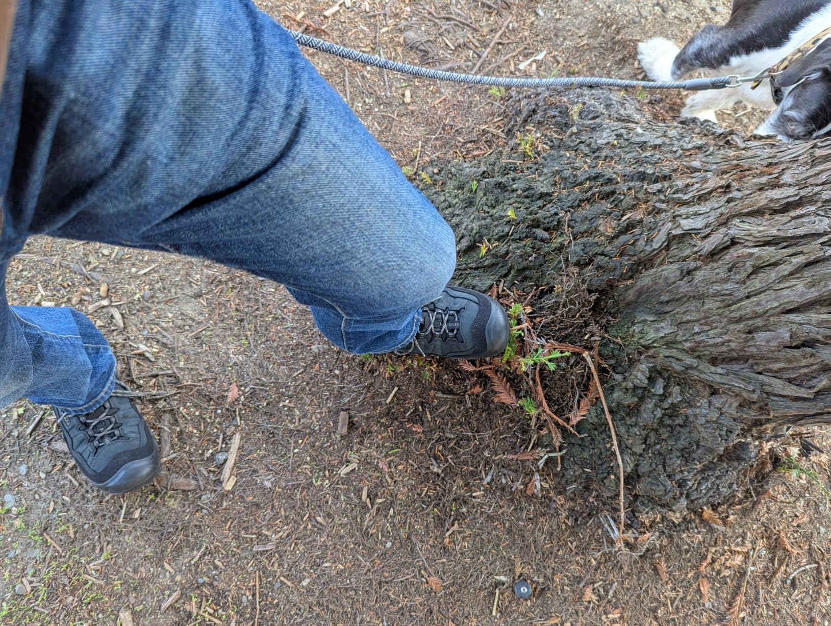 KEEN Targhee IV final assessment - hiking shoe verdict and rating