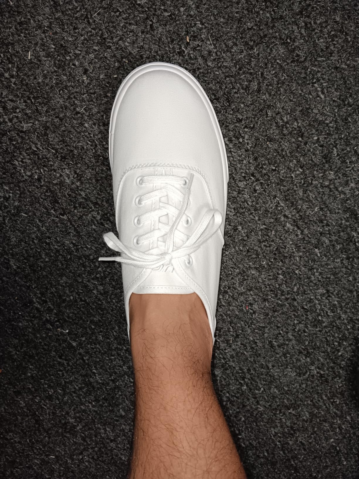 Lugz Lear sneaker side profile showing canvas upper construction detail and padded ankle collar