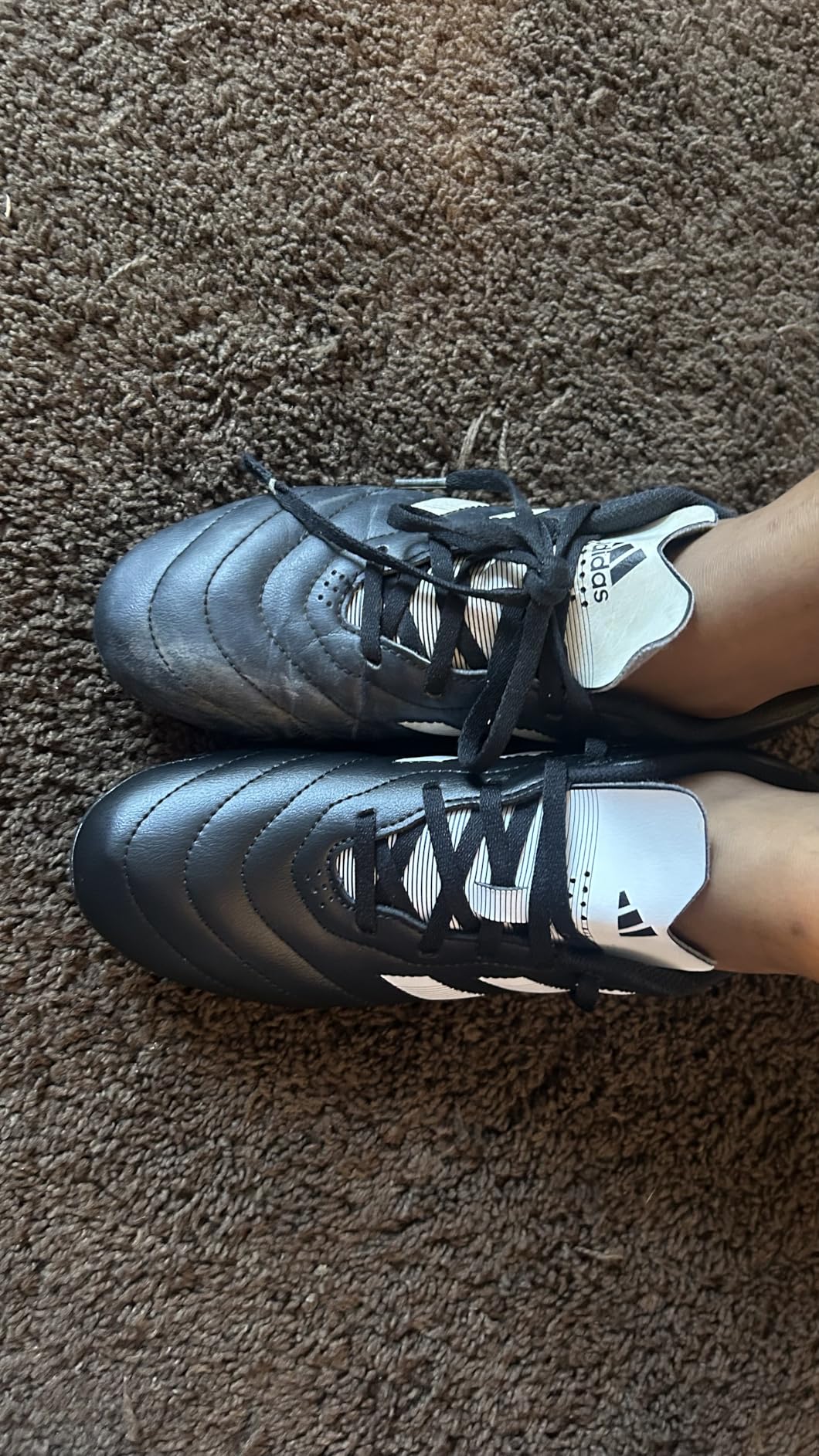 Adidas Goletto VII cleats from multiple angles showing overall design quality