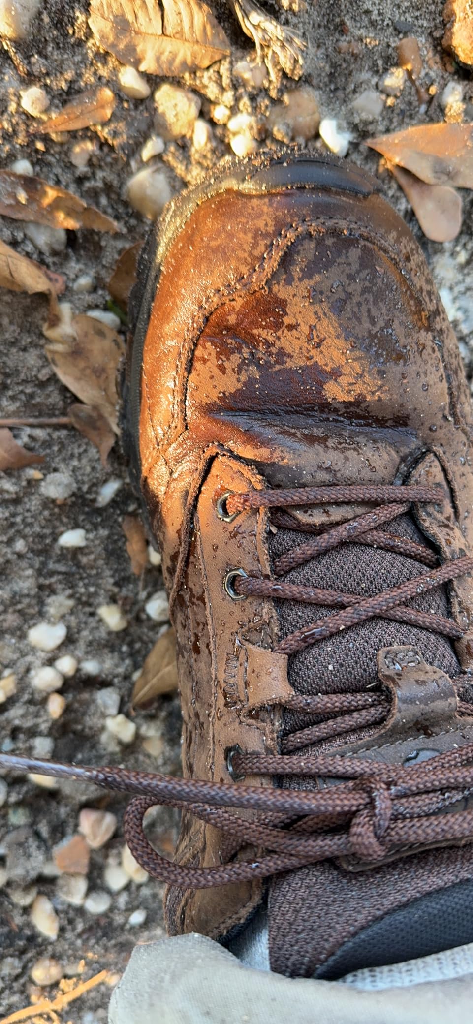 Merrell Moab Adventure Lace in lifestyle setting showing professional appearance suitable for office and casual wear