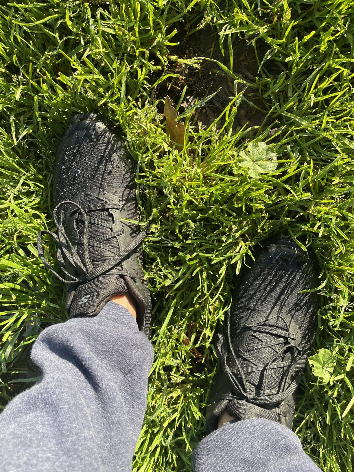 Salomon Alphacross 5 Gore-Tex upper construction showing Gore-Tex membrane integration with synthetic overlays