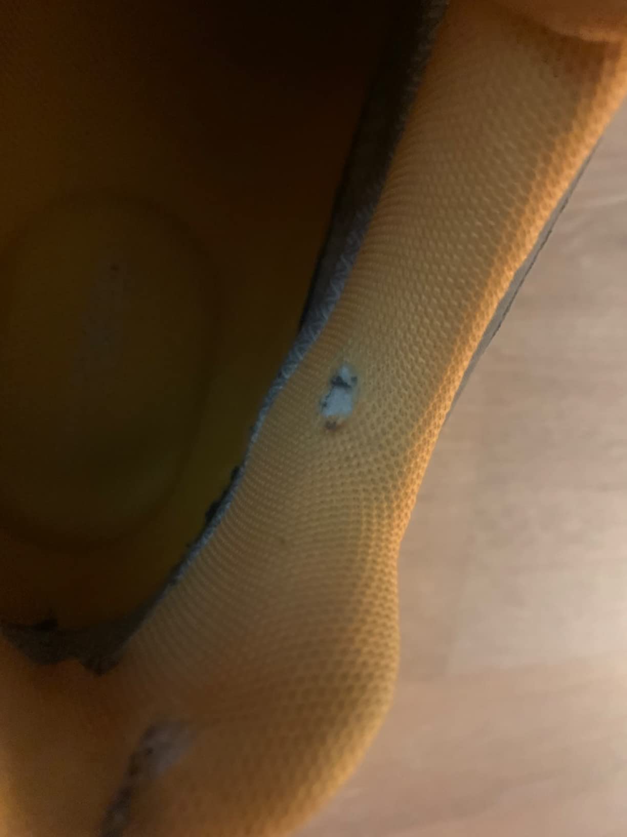 TFO hiking shoes tested on Pacific Northwest rocky terrain showing real-world trail performance