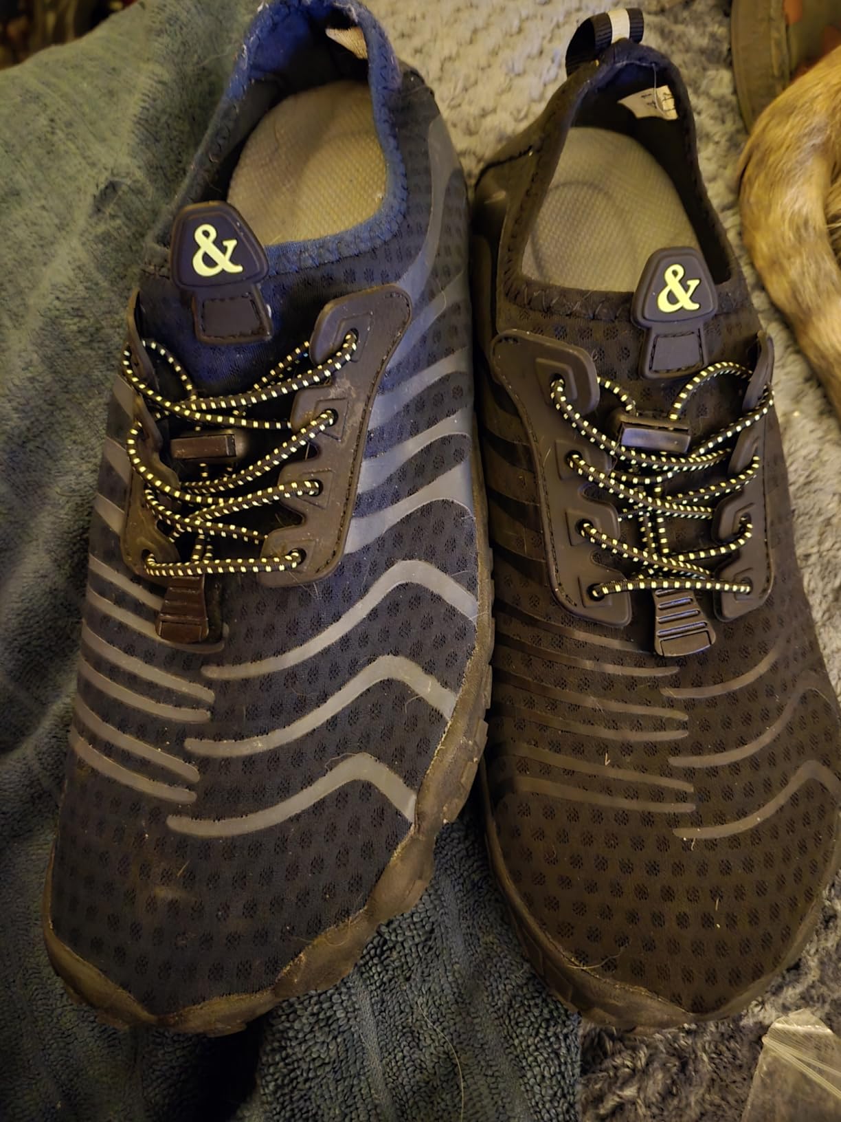 Ziitop barefoot water shoes grey colorway on neutral background showing full silhouette and mesh construction