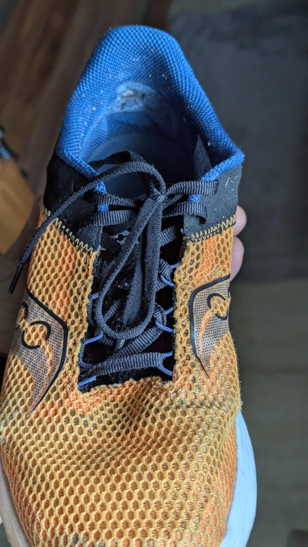 Saucony Men's Kinvara 14 full overview showing lightweight running shoe design and mesh construction