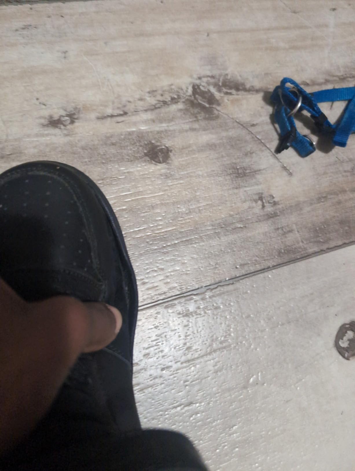 Close-up detail showing rubber outsole detaching from Nautica Horizon sneaker upper at the toe area