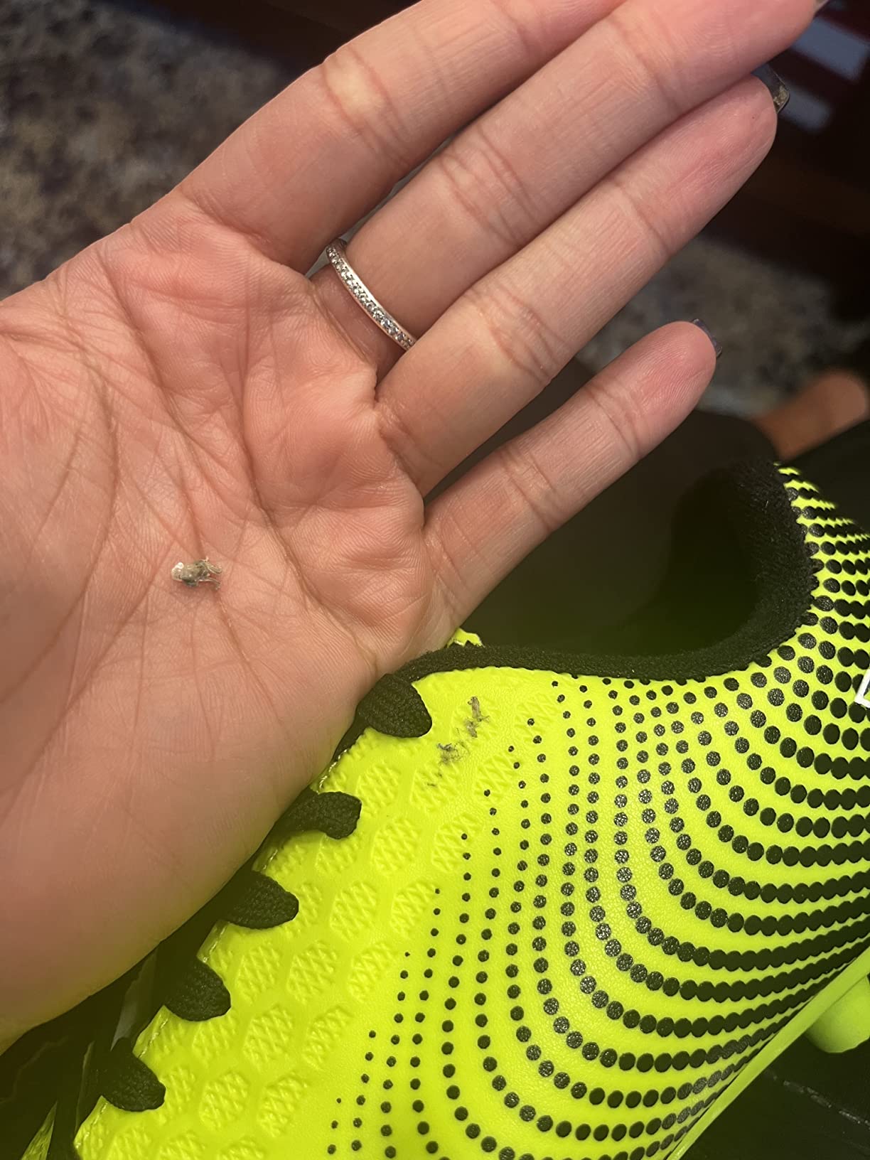 Used Vizari Stealth cleats after 8 weeks of testing showing wear pattern and overall condition