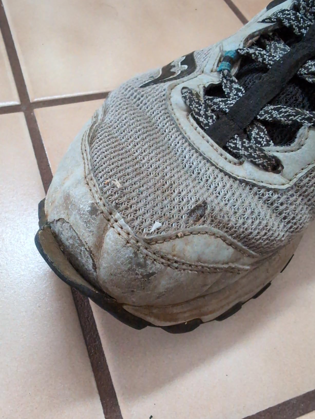 Saucony TR15 outsole detail showing carbon rubber lugs and aggressive tread pattern designed for trail traction