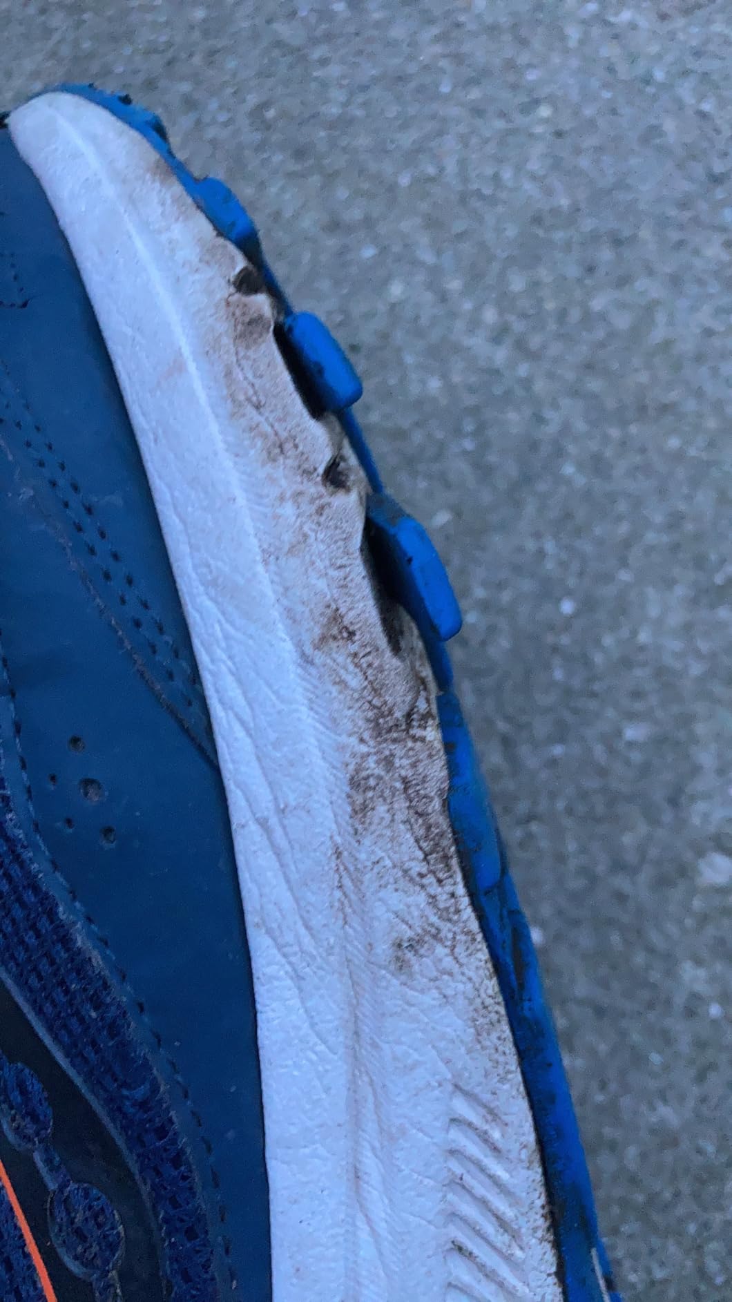Saucony Cohesion 15 showing early signs of sole separation at toe box flex point