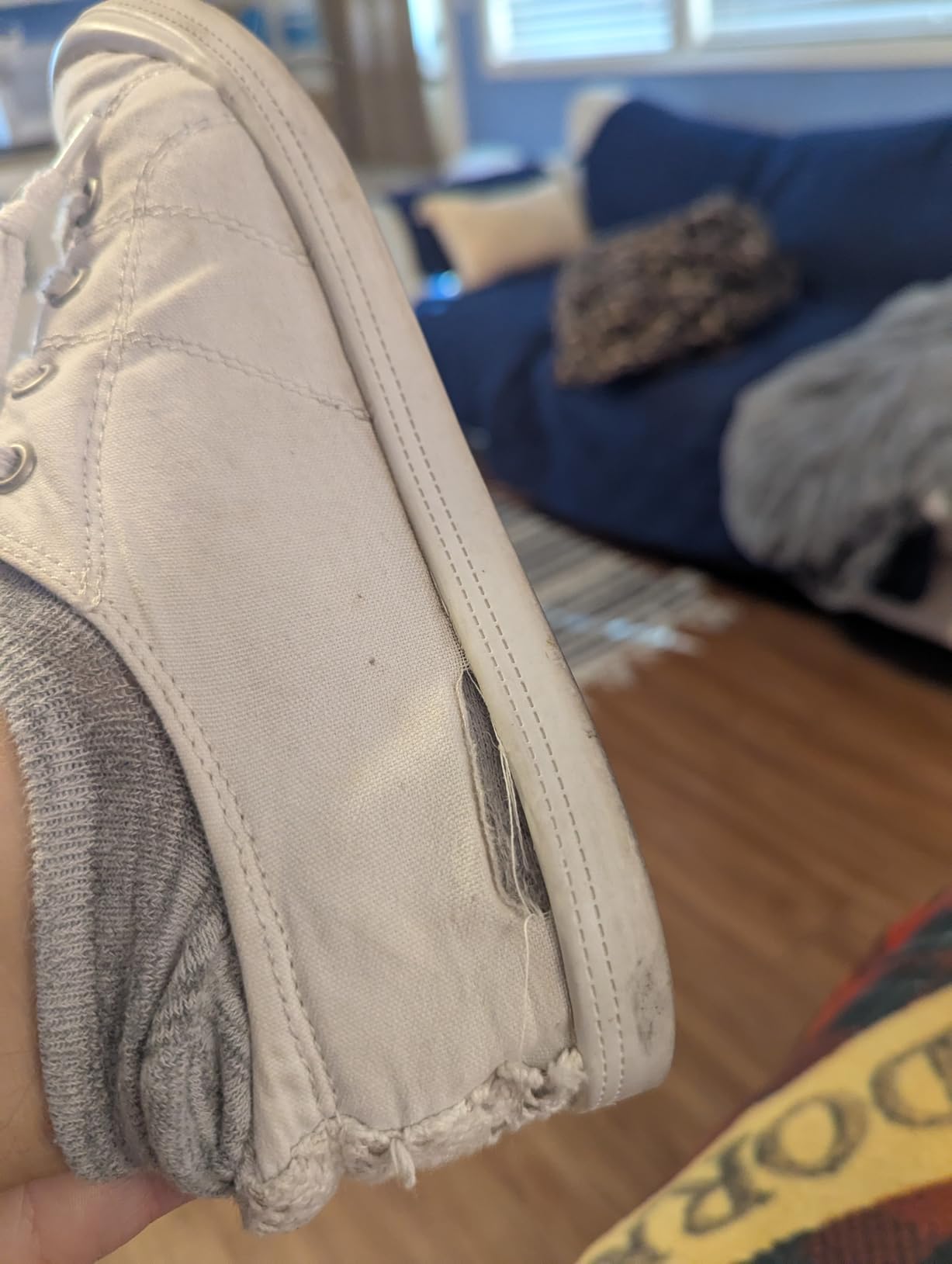 Beneker canvas sneakers showing wear patterns after six weeks of regular daily use including toe box creasing