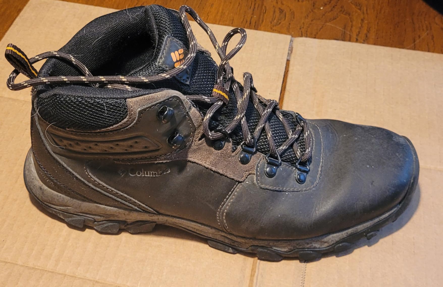 Side view of Columbia Newton Ridge Plus II showing full-grain leather upper with mesh panel details