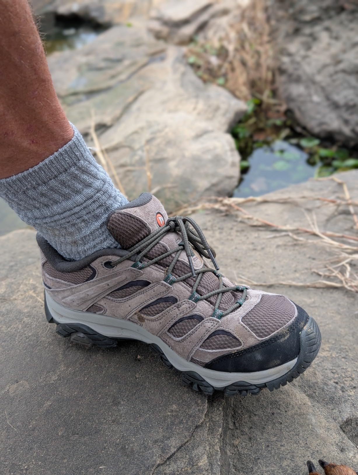 Side profile of Merrell Moab 3 Waterproof showing ankle collar construction and heel cup design